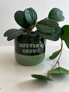 Green "Hustle & Grow" TYPO Ceramic Pot Planter with IKEA Artificial/Faux Green Plants (1 Pot + 2 IKEA Faux Plants)