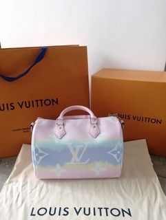 Shop Louis Vuitton 2023 SS Luis Vuitton Speedy Bandoulière 20 by Bellaris