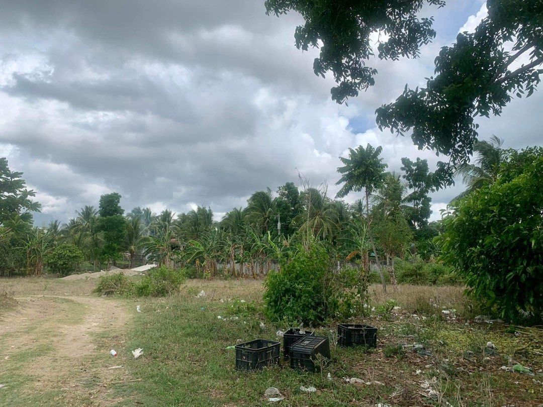 Poultry farm Sambi at San Juan, Alitagtag, Batangas, Property, For