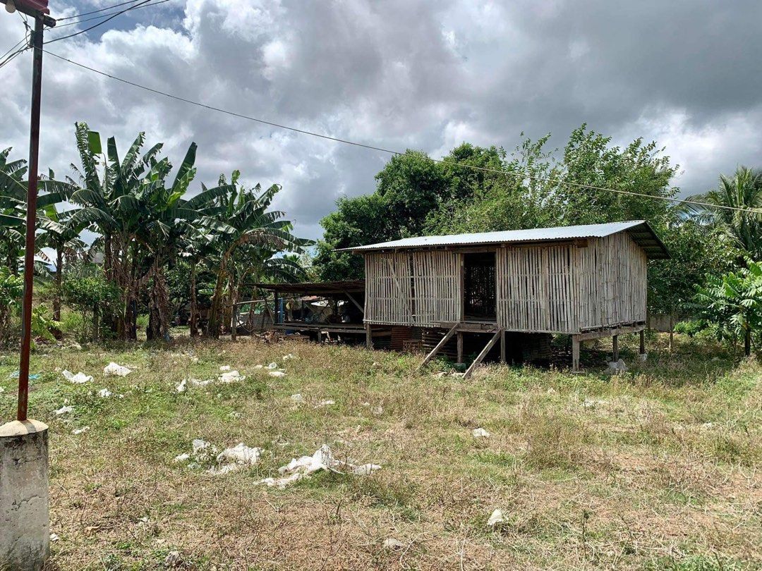 Poultry farm Sambi at San Juan, Alitagtag, Batangas, Property, For