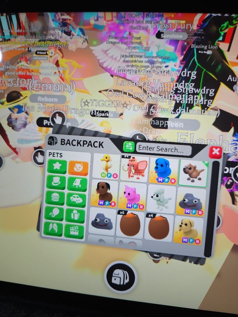Roblox Adopt Me Mega FR Sales, Video Gaming, Gaming Accessories, In ...