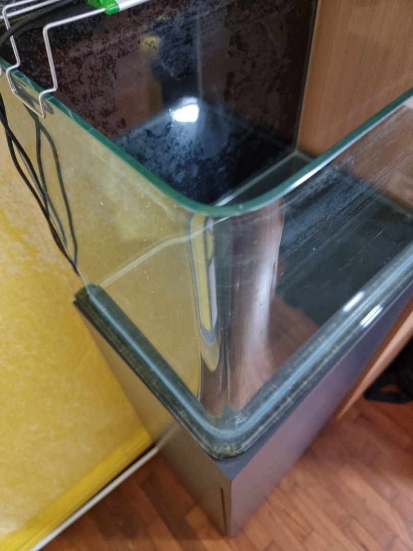 Space Saving Aquarium Tank with FREE backdrop, Pet Supplies, Homes ...