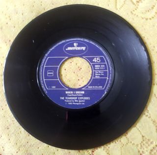 The Teardrop Explodes - When I Dream (7" single) VINYL PLAKA