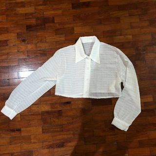 VINTHELINE White Collar BTD Buttondown Crop Sheer Longsleeve Top Blouse | VIN THE LINE THEVELOUR THE VELOUR | Vintage Y2K 90s Chic Work Formal Preppy Academia