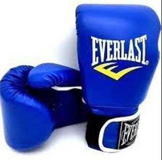 12 OZ EVERLAST Boxing Gloves Professional Boxing Muay Thai Training Gloves Fitness Punch Glove P2199