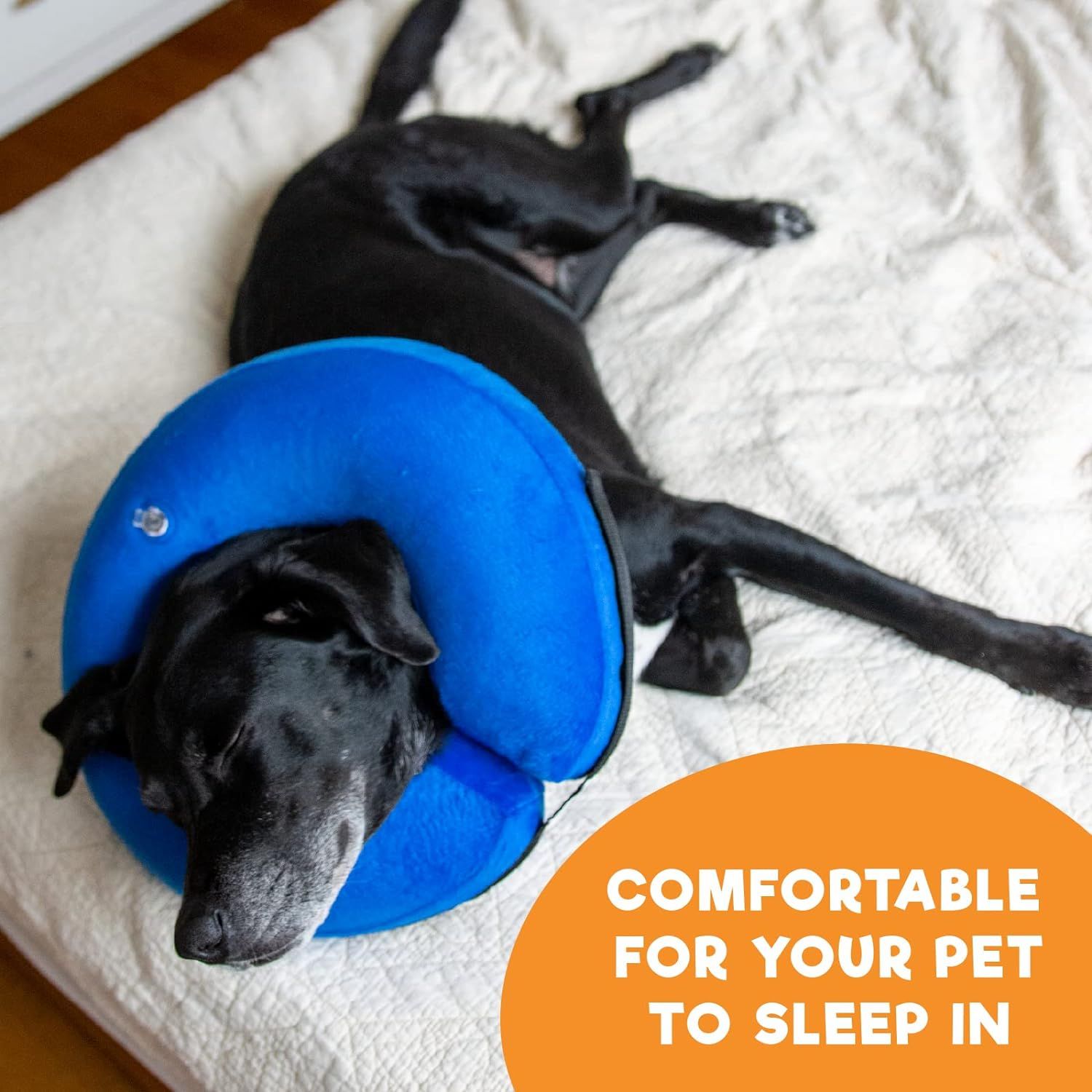 Bencmate clearance inflatable collar