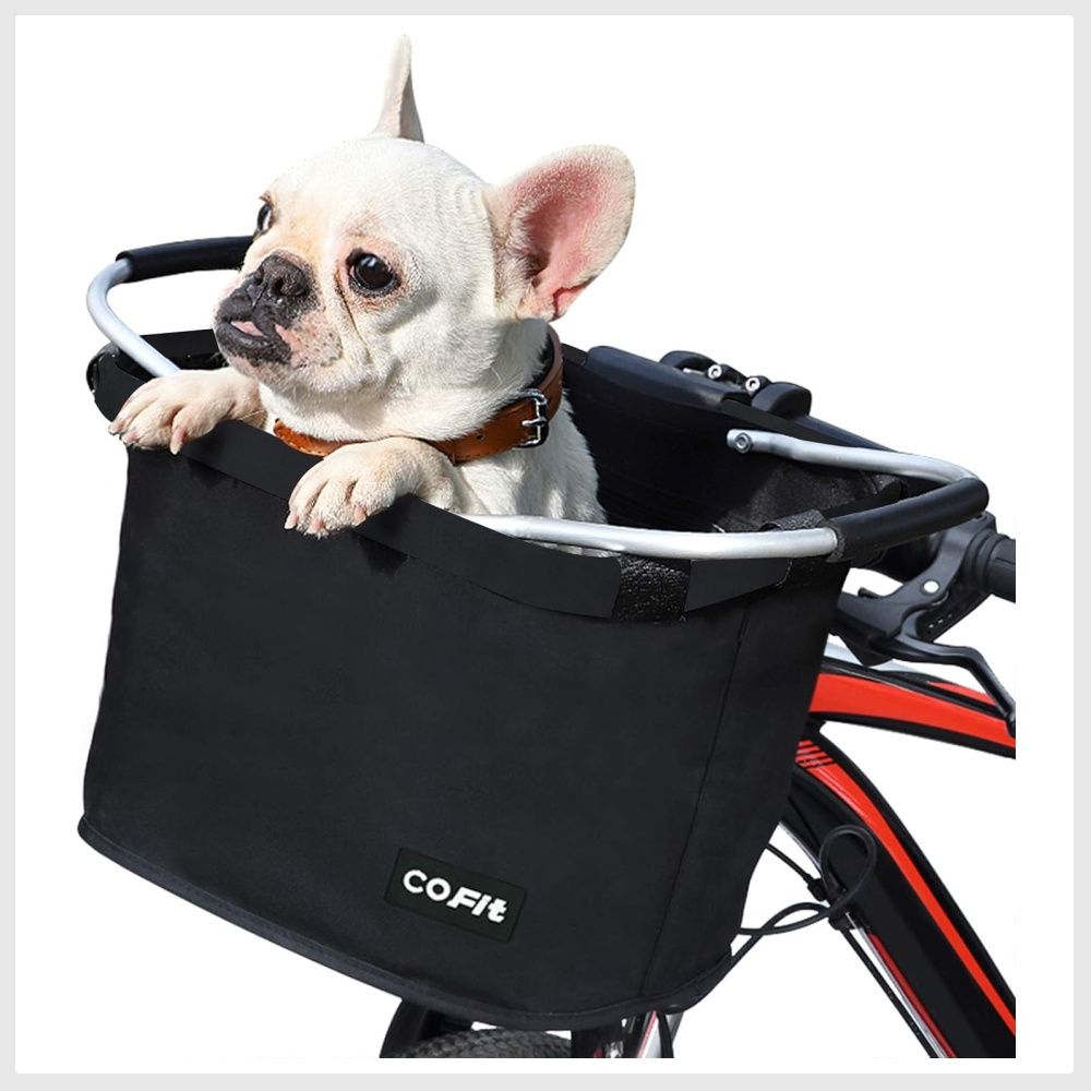 Schwinn rascal handlebar pet carrier sales
