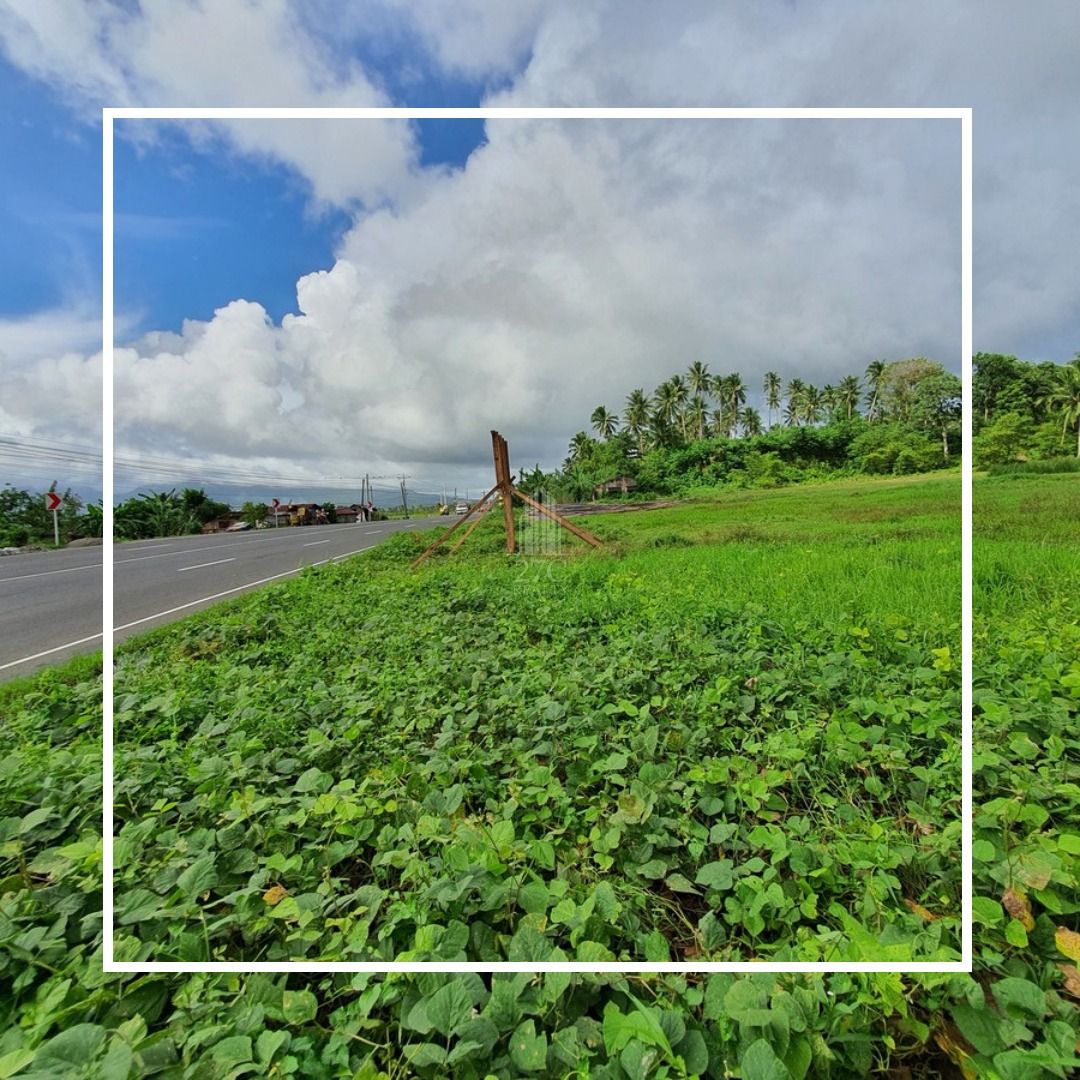 Commercial Lot For Sale in Sorsogon City, Property, For Sale, Lot on