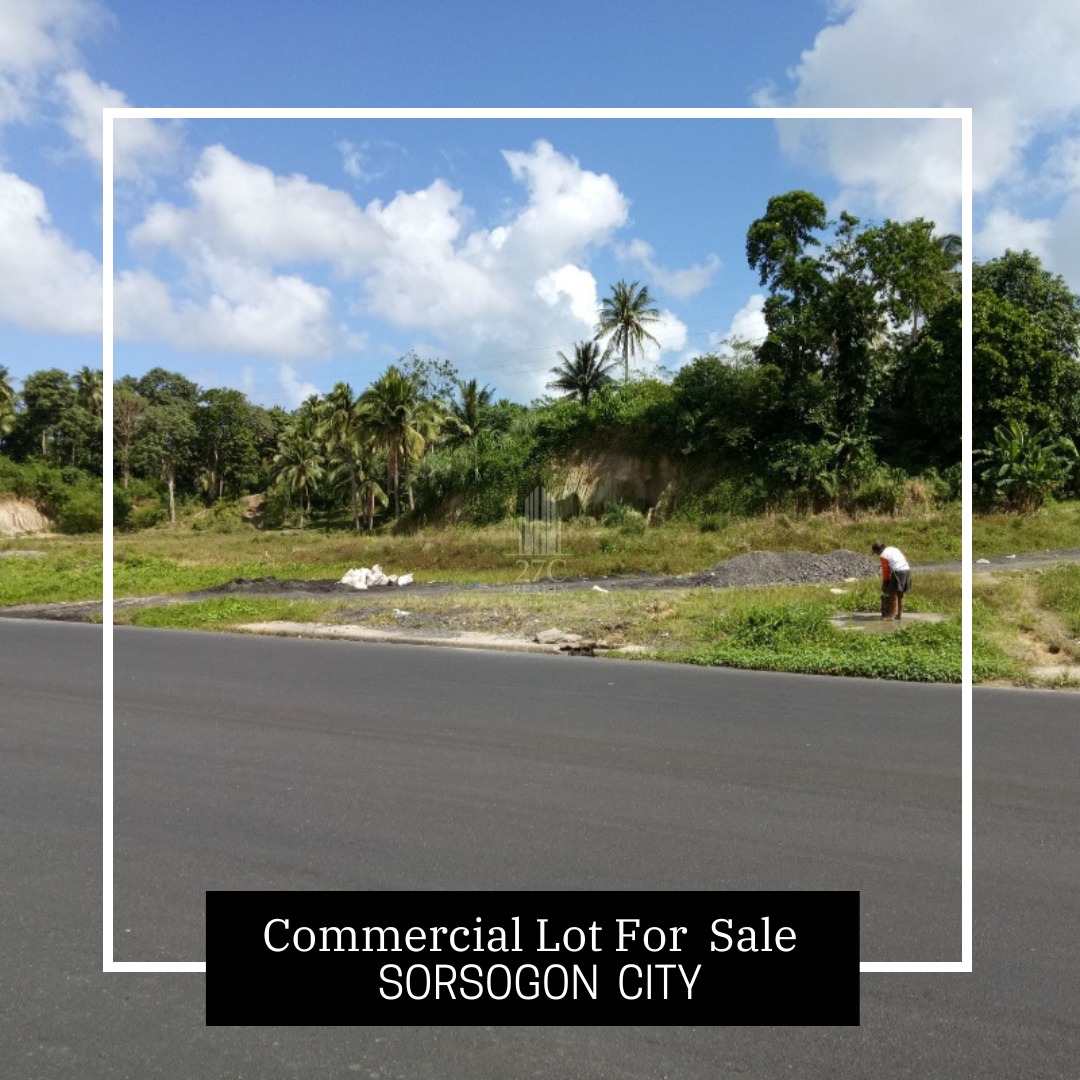 Commercial Lot For Sale in Sorsogon City, Property, For Sale, Lot on