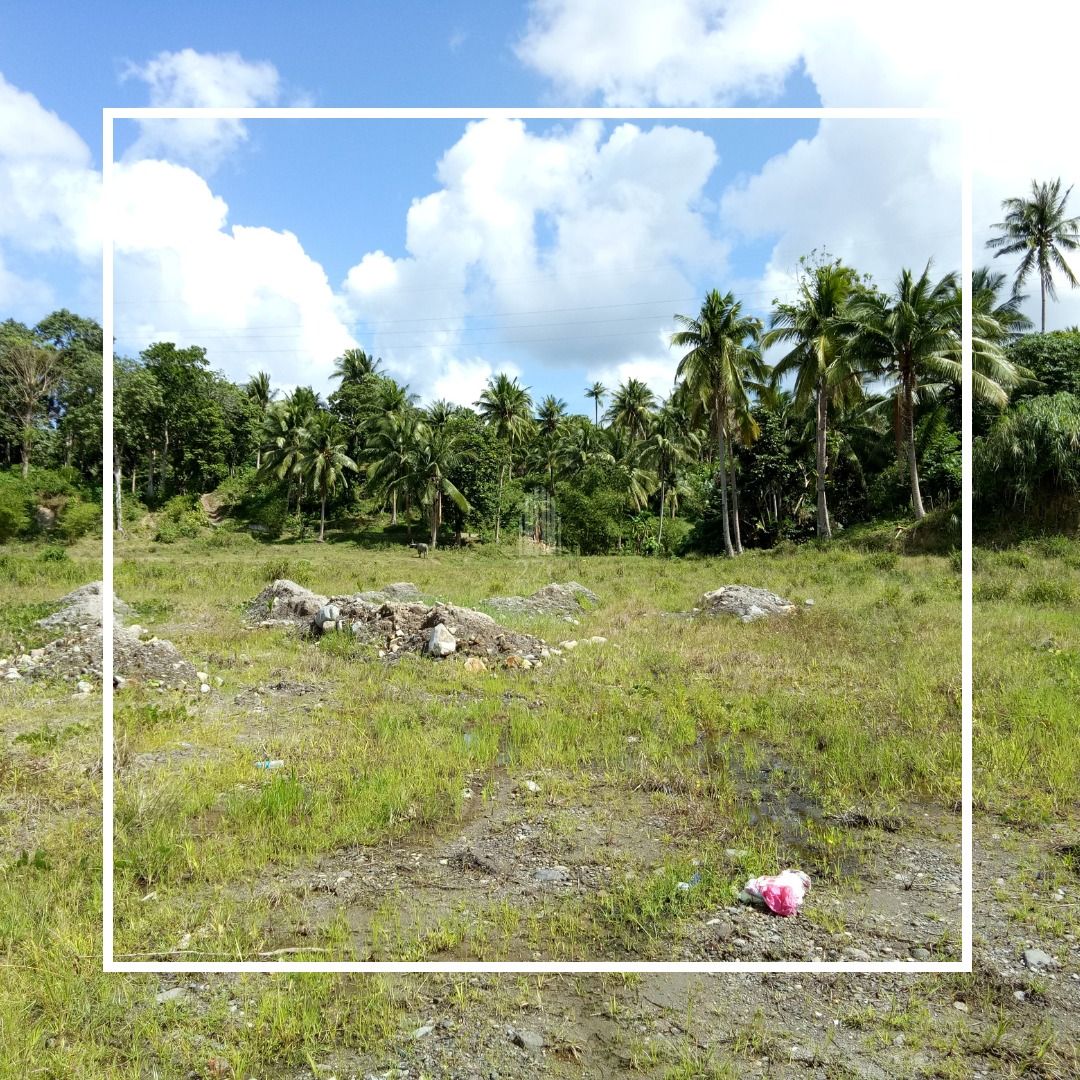 Commercial Lot For Sale in Sorsogon City, Property, For Sale, Lot on