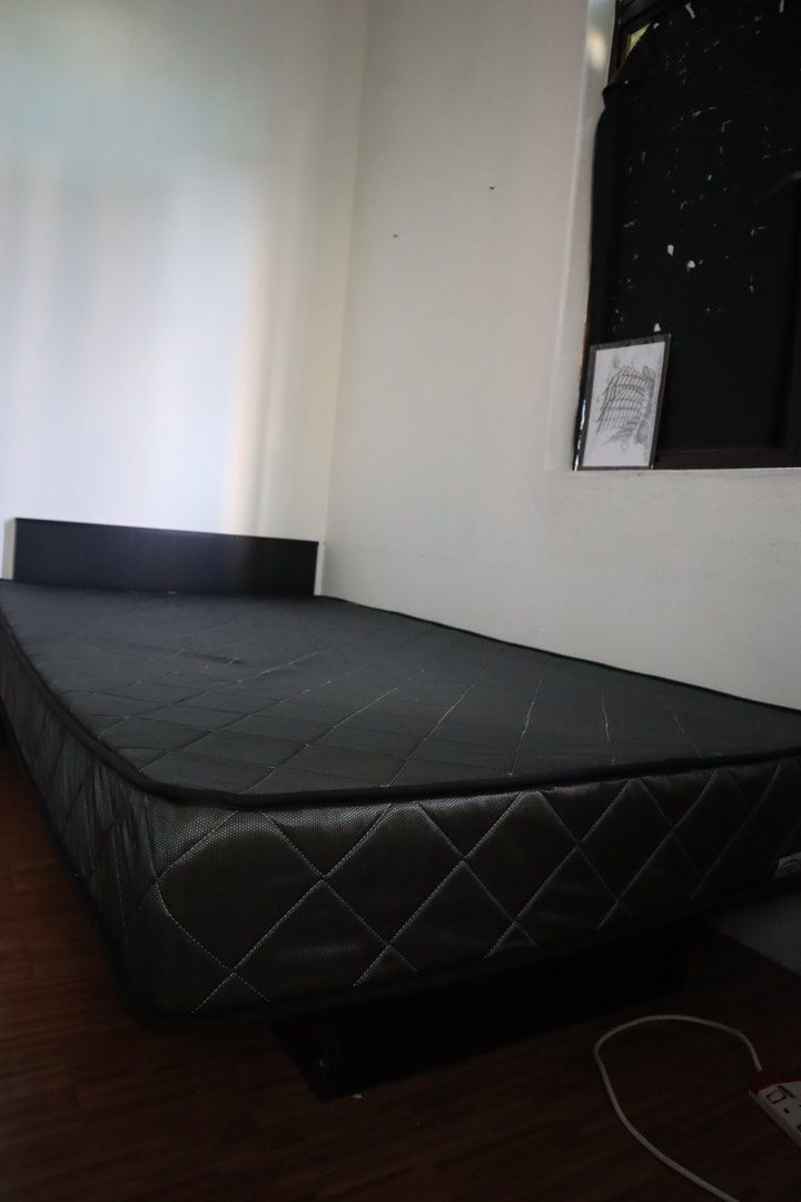 Dr Alstone 8 Inch Super Single Mattress Furniture And Home Living Furniture Bed Frames