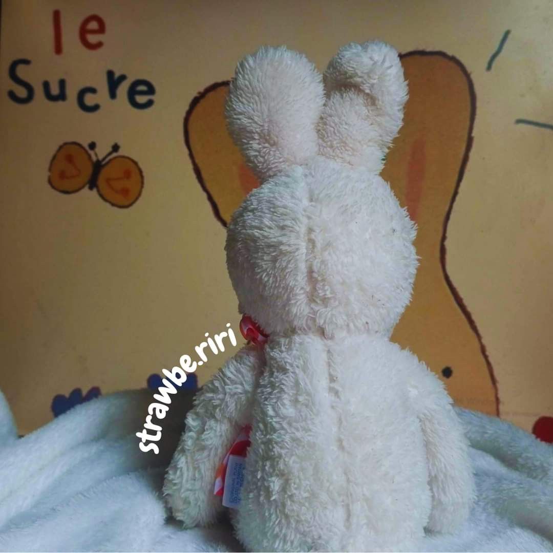 Le Sucre Bunny, Hobbies & Toys, Toys & Games on Carousell