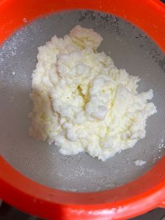 Milk kefir grains 20 grams