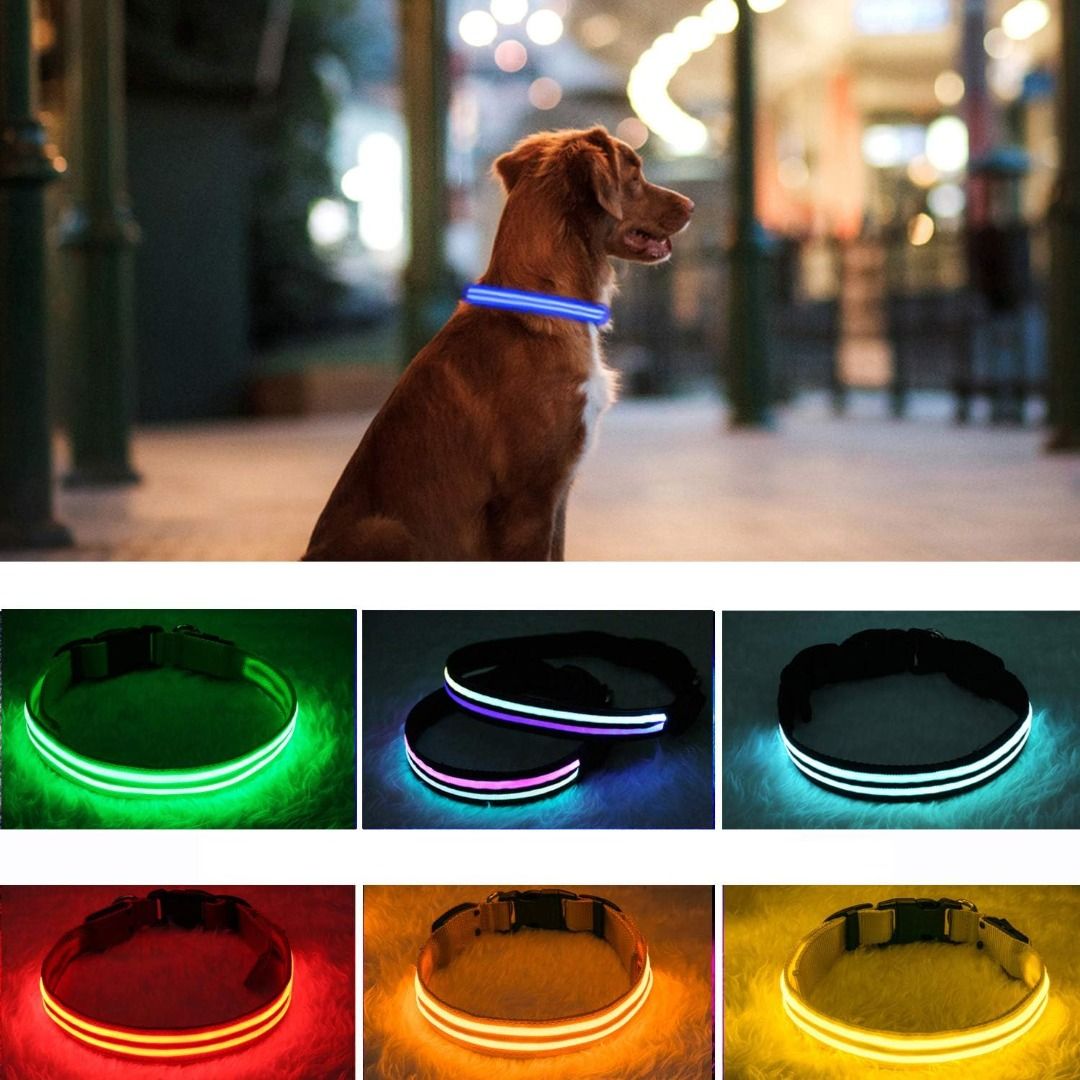 Light up collars sale for small dogs