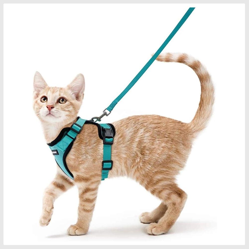 rabbitgoo Cat Harness and Leash for Walking Escape Proof Soft