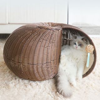 Petpals fawn shop level 5 scratcher