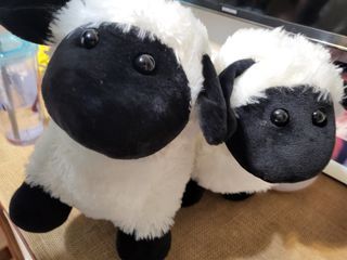 Sheep Soft Toys