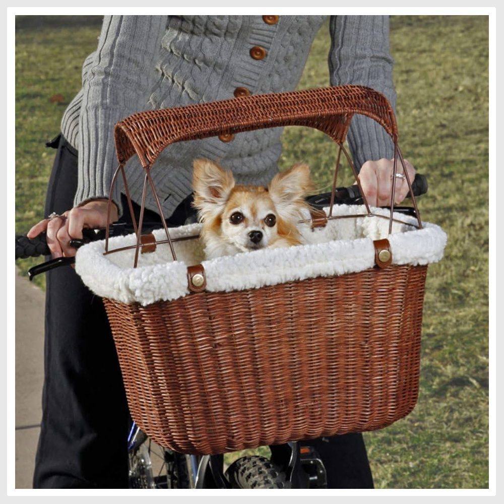 Solvit tagalong 2025 bicycle basket