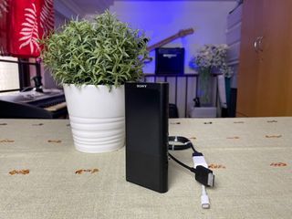 Sony walkman NW-ZX300
