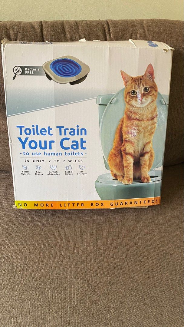 Toilet Train Your Cat, Pet Supplies, Homes & Other Pet Accessories on
