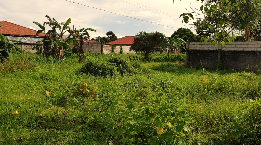 180sqm Residential Lot for sale in Bacolod City, Property, For Sale