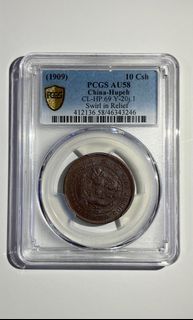 1909宣統大清銅幣十文（鄂/小逆背）