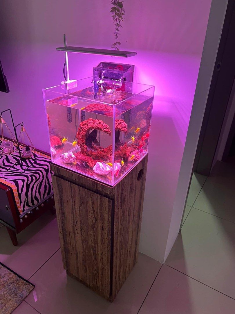 Aquarium set, Pet Supplies, Homes & Other Pet Accessories on Carousell