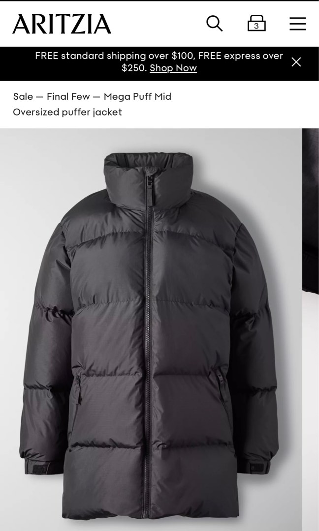 Aritzia goose down hot sale