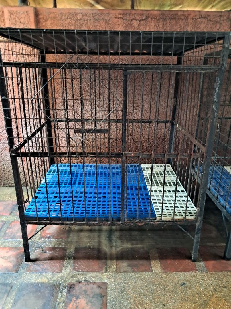 Bm cage