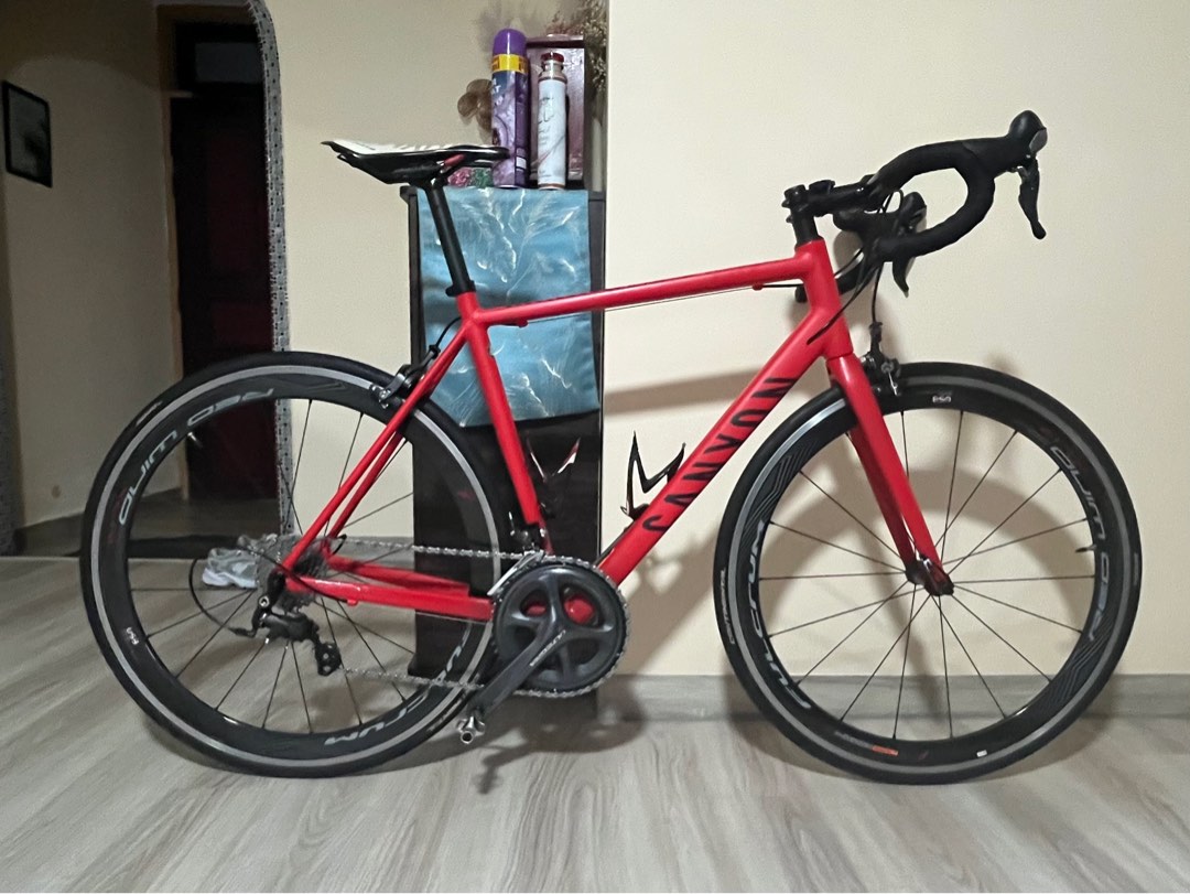 Canyon endurace on sale red