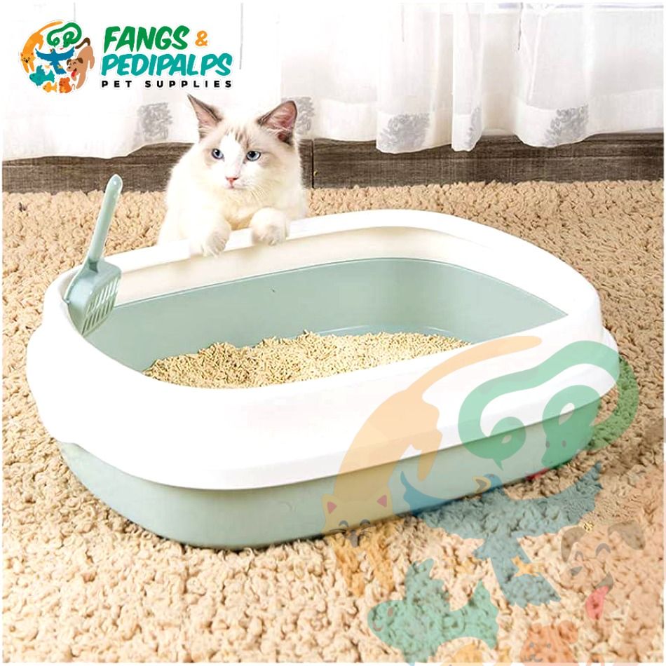 CAT SAND LITTER BOX WITH POOP SCOOPER CAT TOILET, Pet Supplies, Homes