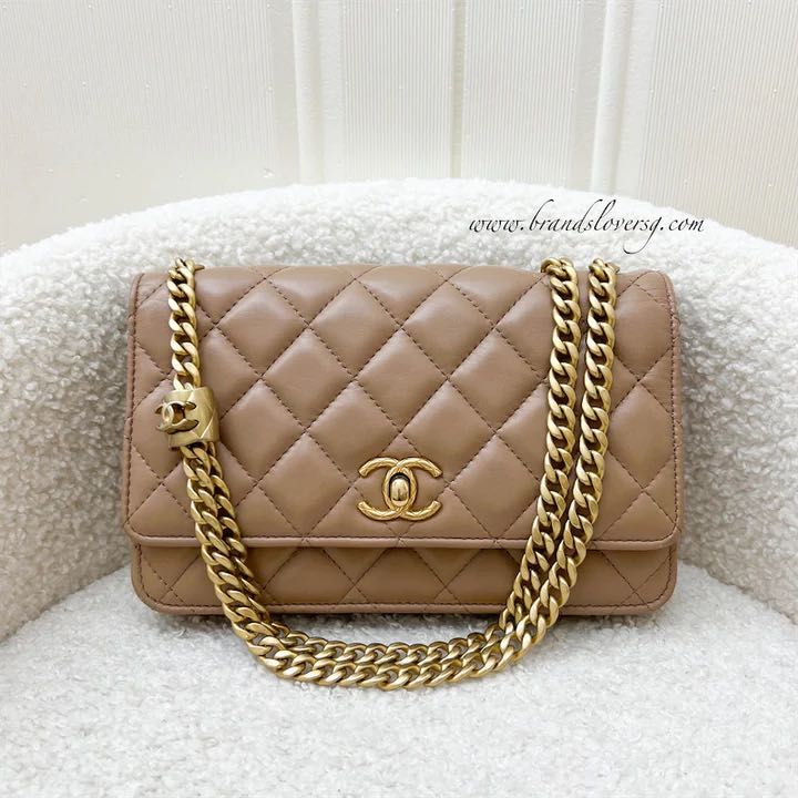 Chanel Wallet on chain with handle, Luxury, Bags & Wallets on Carousell