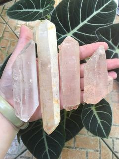 Clear Quartz Pointed Brazil Natural Crystals