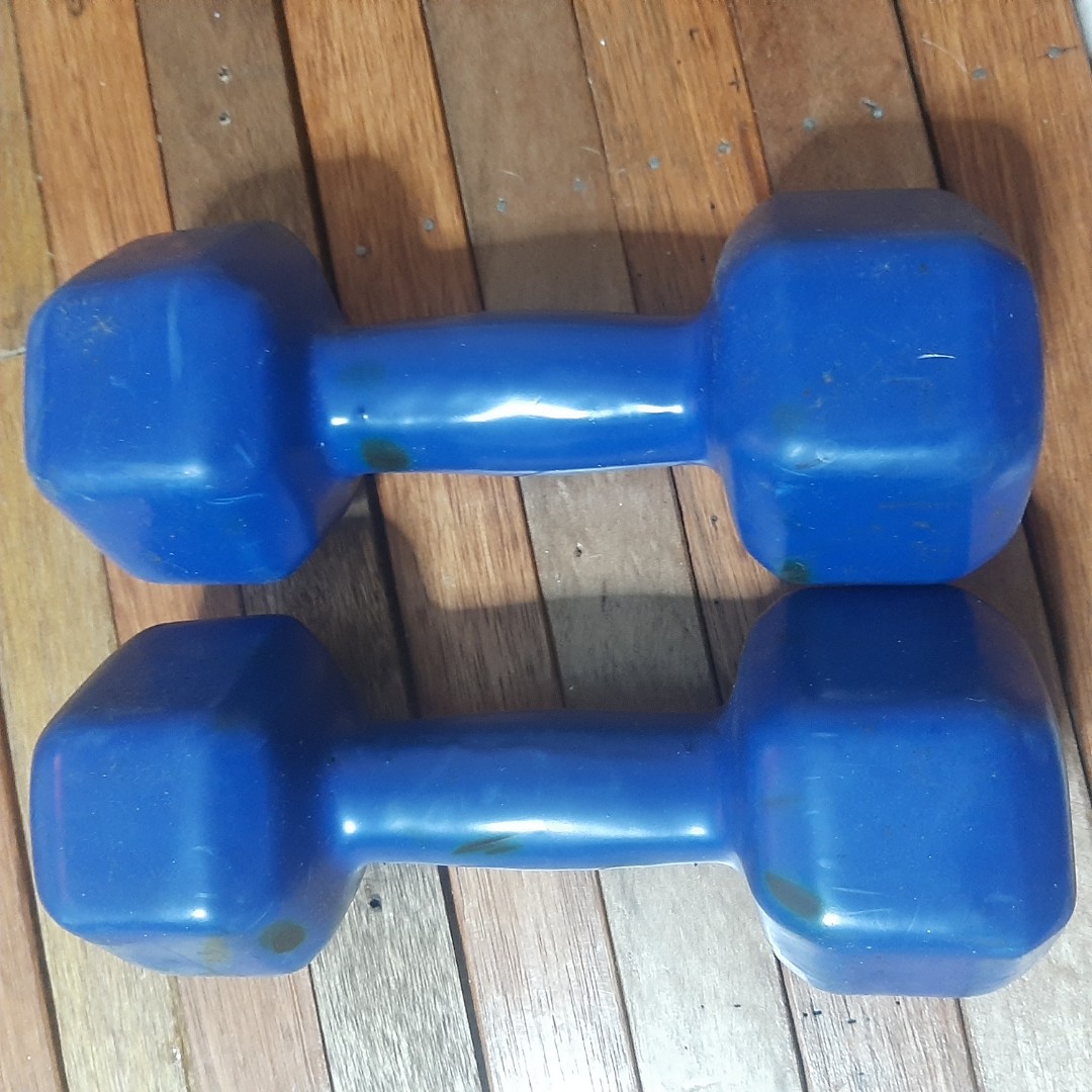 dumbbell 10Lb, Sports Equipment, Exercise & Fitness, Weights ...