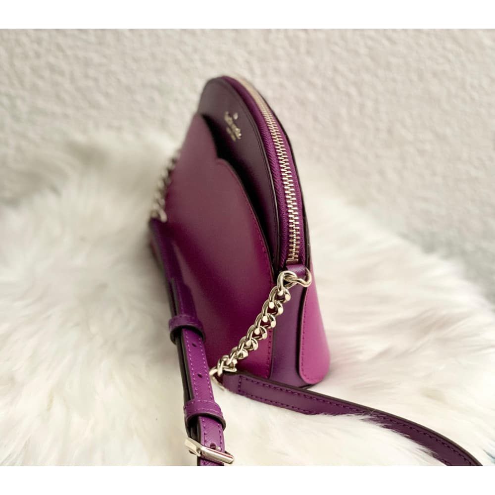 Payton small dome crossbody 2025