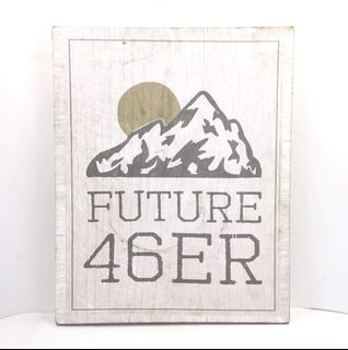 STUPELL Home Décor Collection "Future 46er" Hiking Adirondacks Stretched Canvas Wall Art
