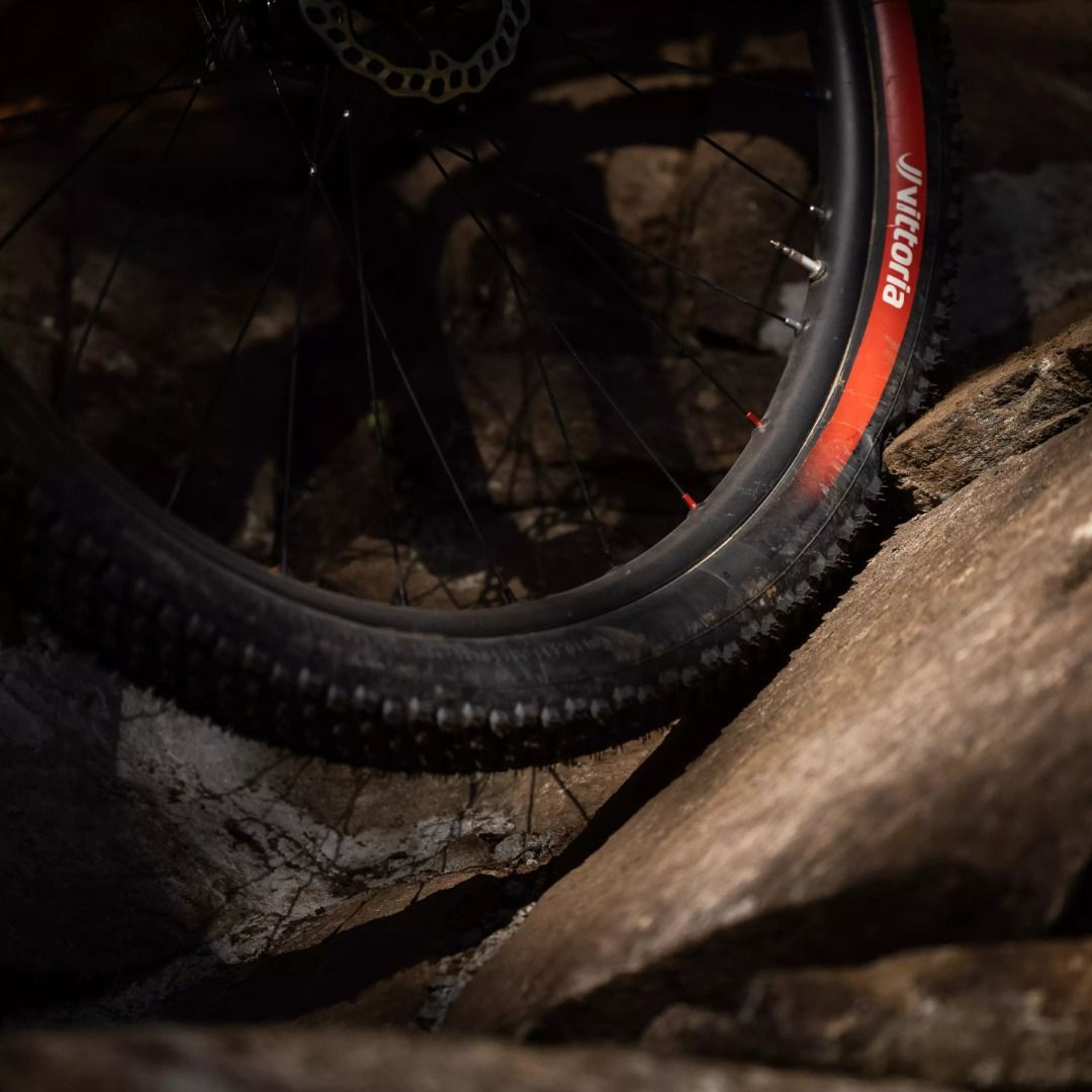 Vittoria mountain sales bike tyres