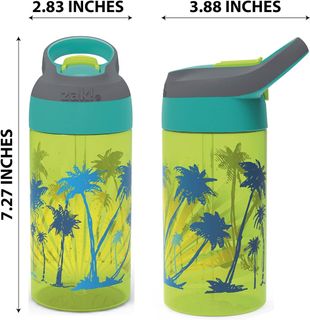 Zak Designs 16oz Riverside Beach Life Kids Water Bottle with Straw and  Built in Carrying Loop