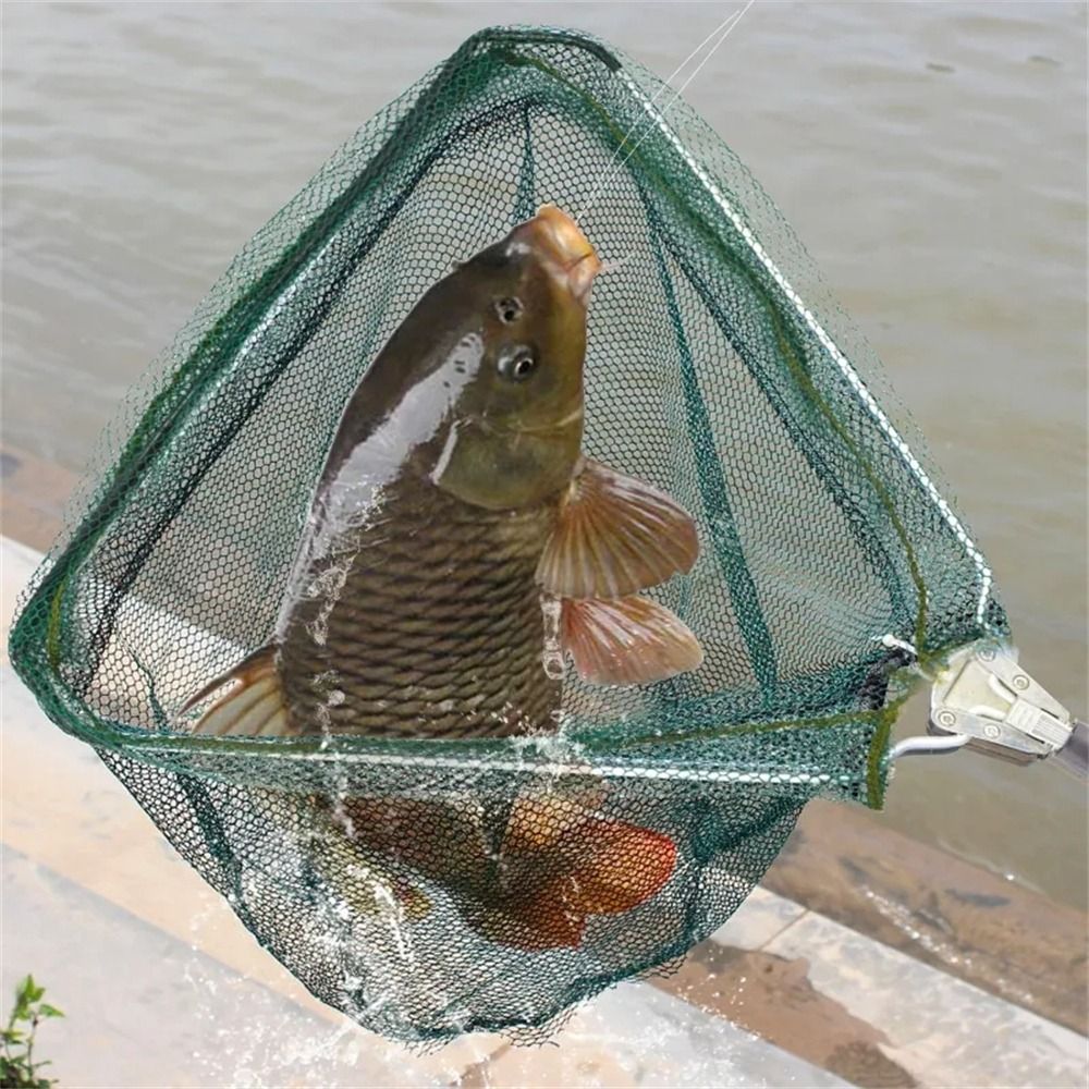 お歳暮 漁網 漁具 3枚網 その他 - fishtowndistrict.com