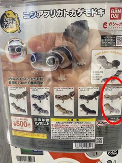 （分類：）位於 。 由 isaaclau 提交（商品編號 1266309959，圖片 1）。簡介： 。