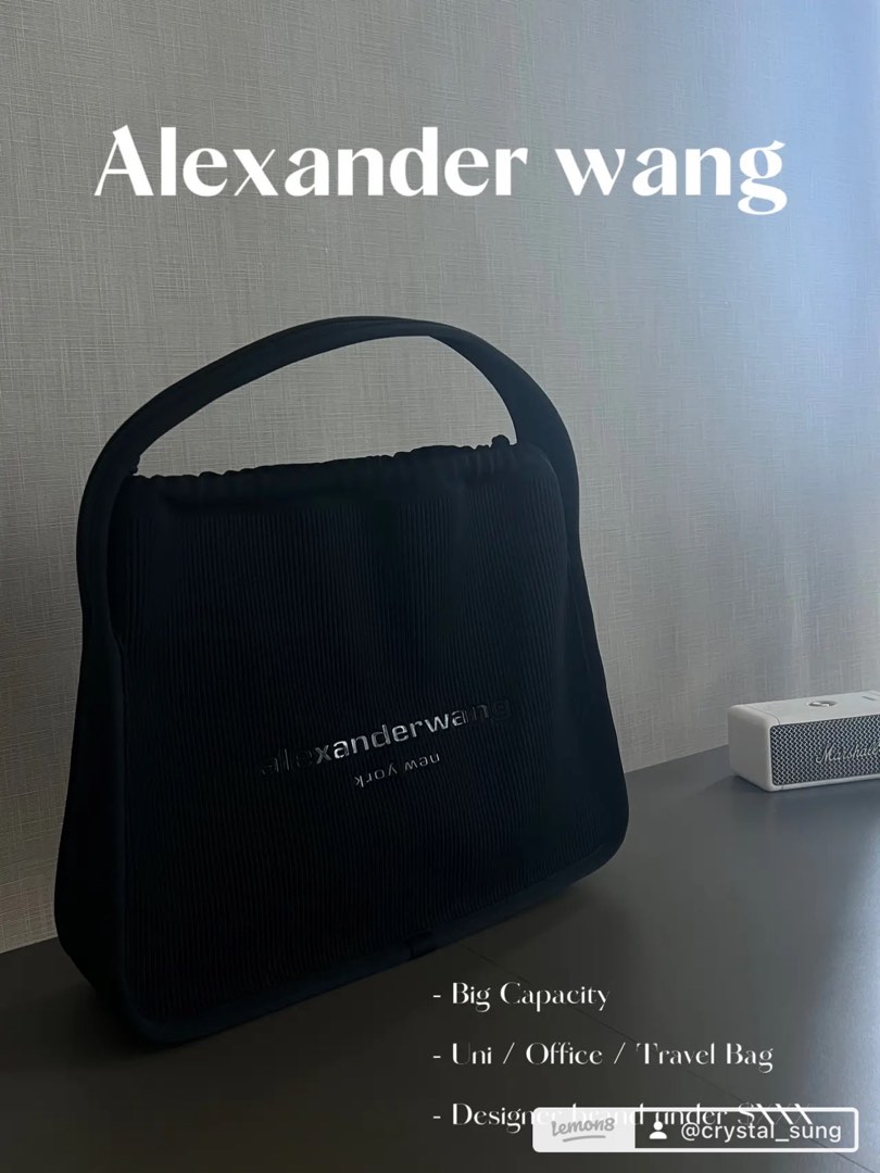 Alexander wang dime clearance mini flap satchel