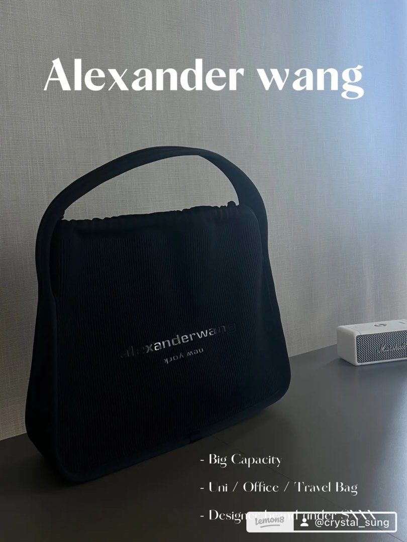 alexander wang handbag