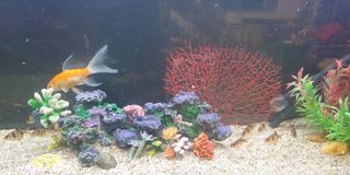 (Category: ) located in . Submitted by happynote (Listing ID 1266391621, Image 1). Description: .