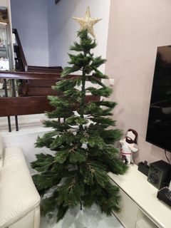 Christmas Tree (6" or 1.8 meters)
