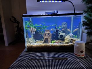 (Category: ) located in . Submitted by arkeanson (Listing ID 1266364772, Image 1). Description: .