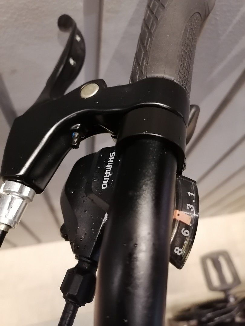 Giant momentum hotsell vida e