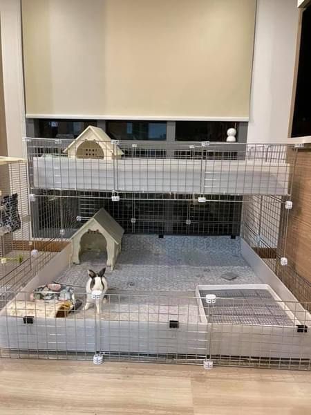 C&c bunny cage sales