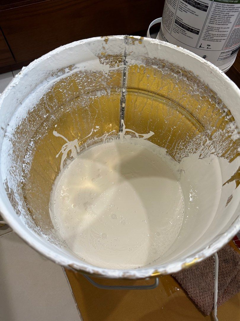 Nippon paint white sealer and hush white paint, Furniture & Home Living