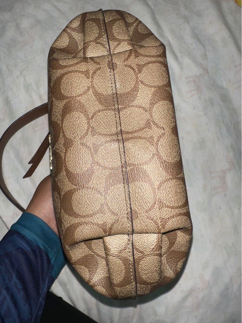Small skylar hobo store in signature canvas