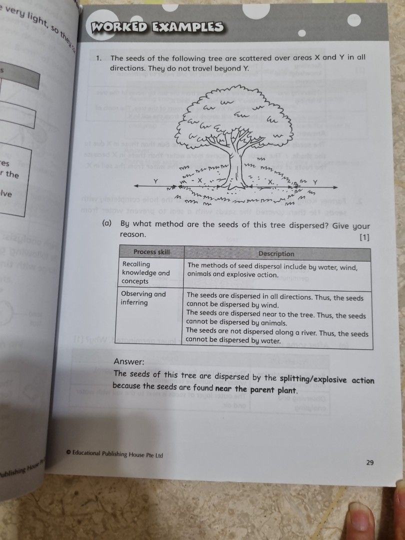 Primary 5 Science Must Know process skills and keywords, Hobbies & Toys ...